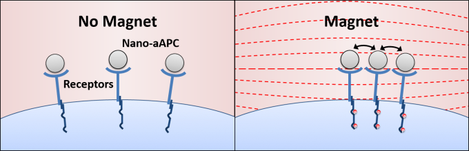magnetic_medicine_schematic