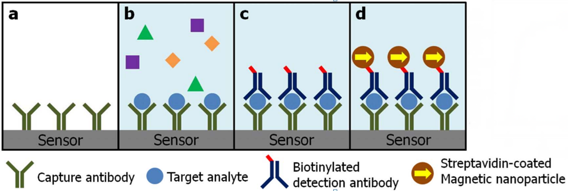 magneto-nanosensor biochip immunoassay