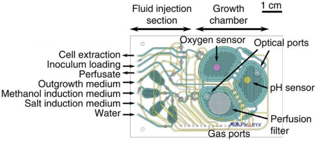 microbioreactor parts
