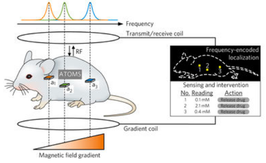 microchip mimics MRI