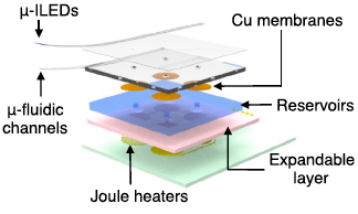 microfluidic system