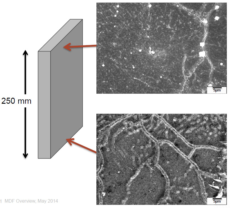 microscale variability