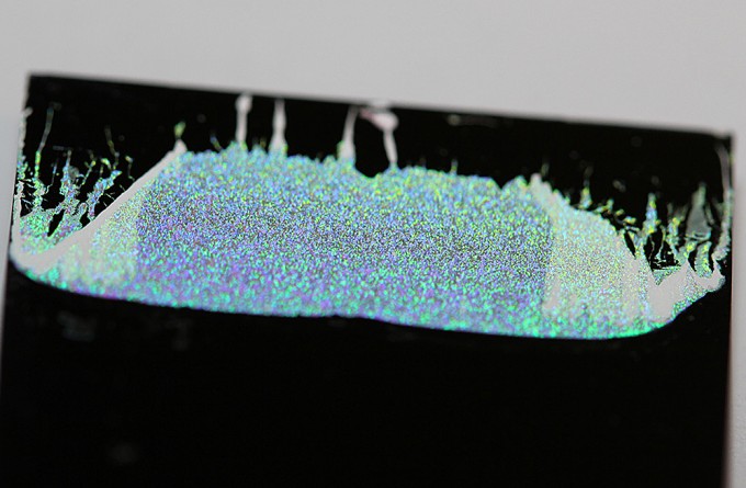 microspheres_on_substrate