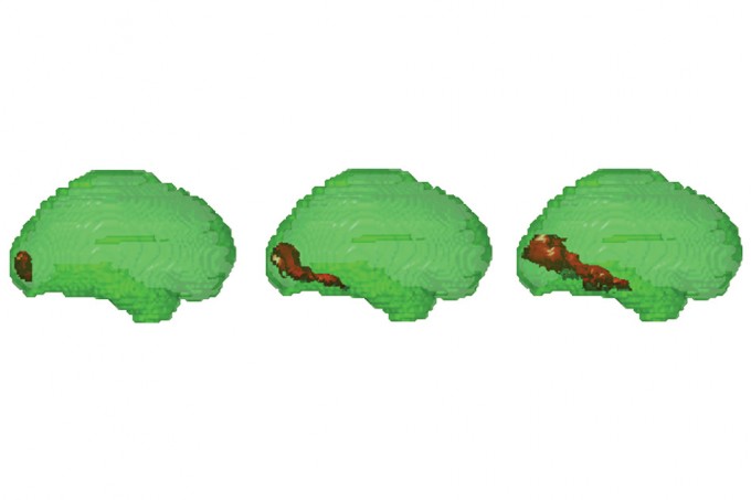 mit_fmri_meg