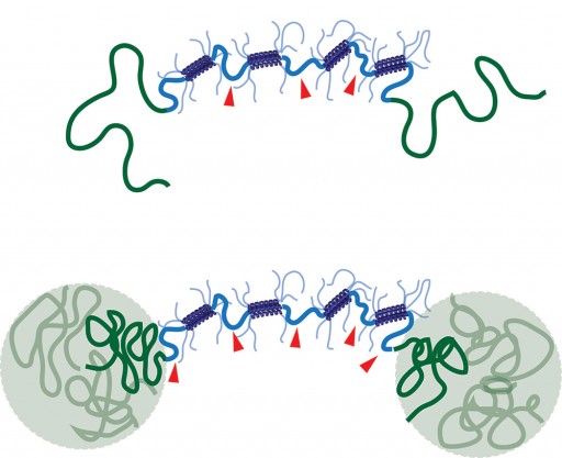 mit_injectable_gel
