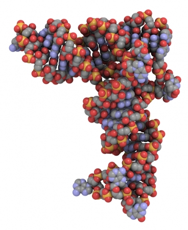 mit_rna_cancer