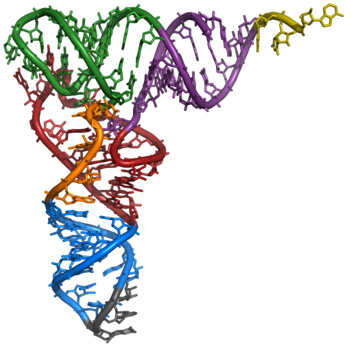 mit_rna_yeast