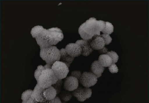 mitrnananospheres