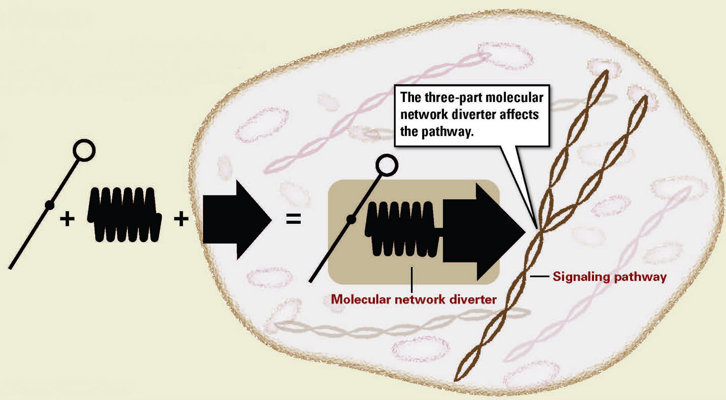 molecular diverter
