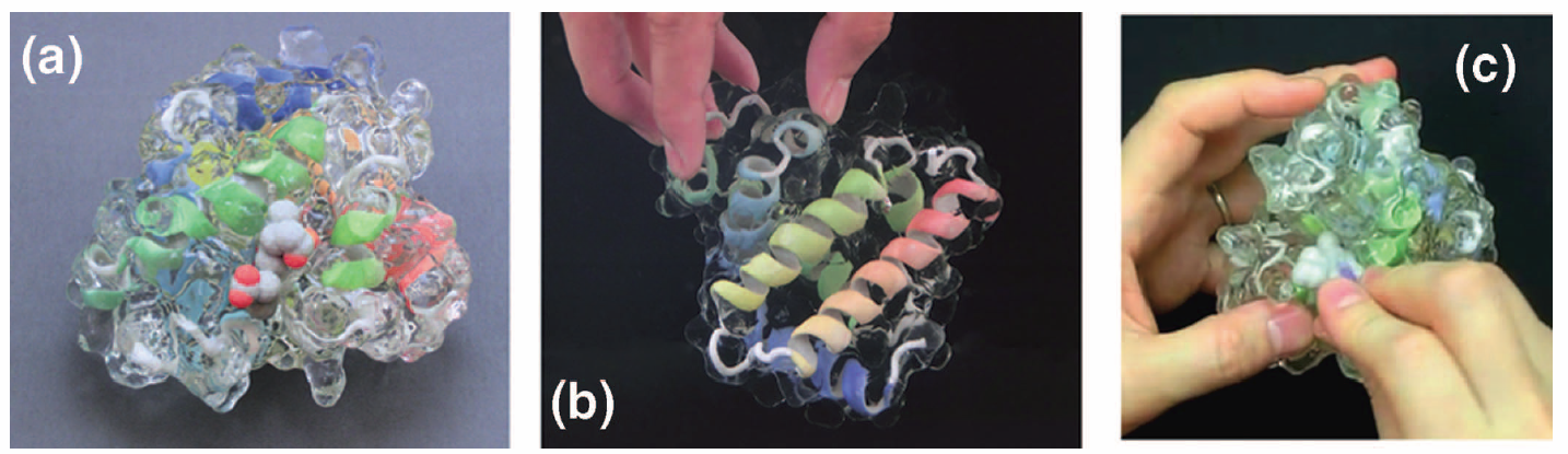 molecular models