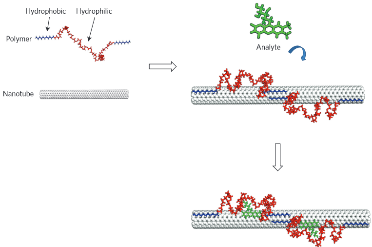 molecular recognition