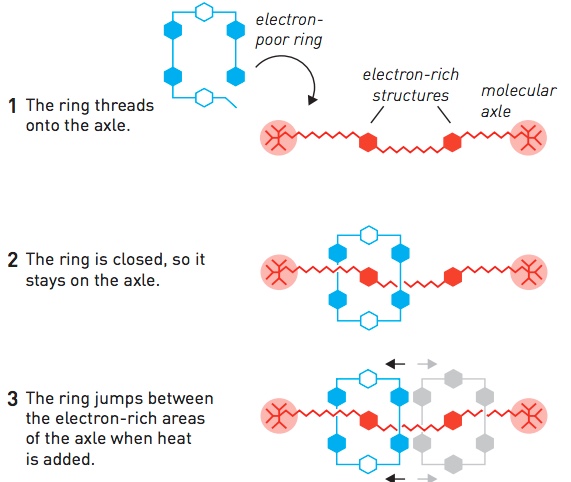 molecular shuttle
