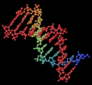 molecule