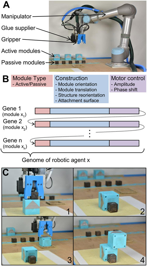 mother robot