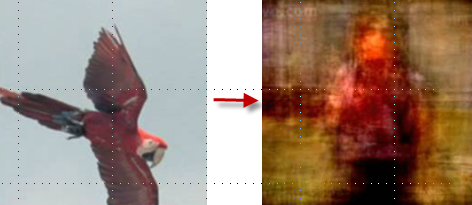 movies from fmri