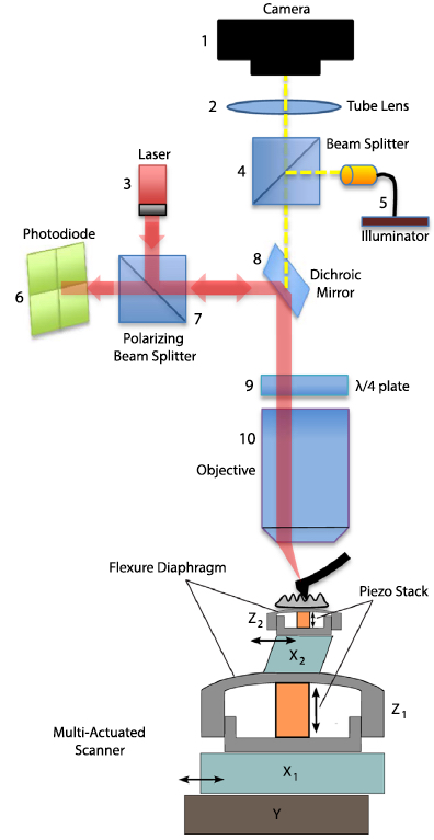 multi-actuated AFM