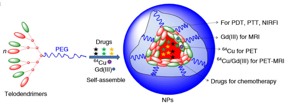 multifunctional NP