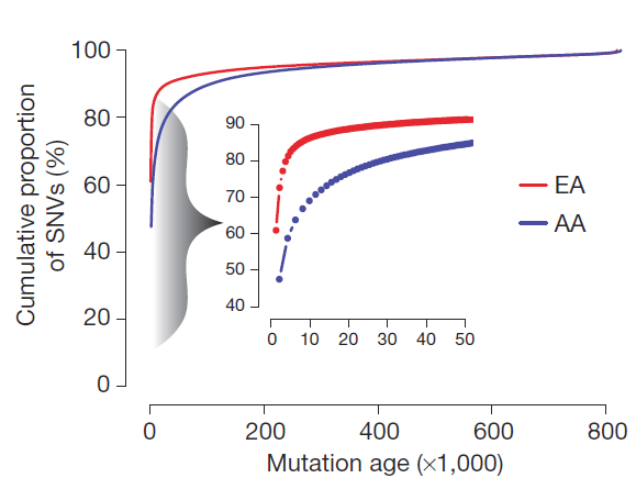 mutation_age_vs_SNVs