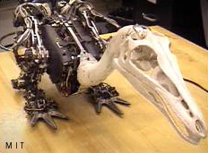 Troody, a robot
dinosaur built at MIT Troody, a robot
dinosaur built at MIT