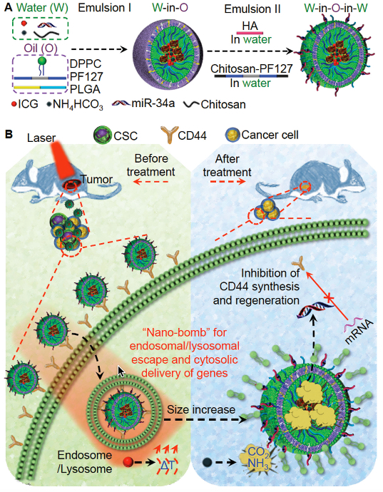 nanobomb system