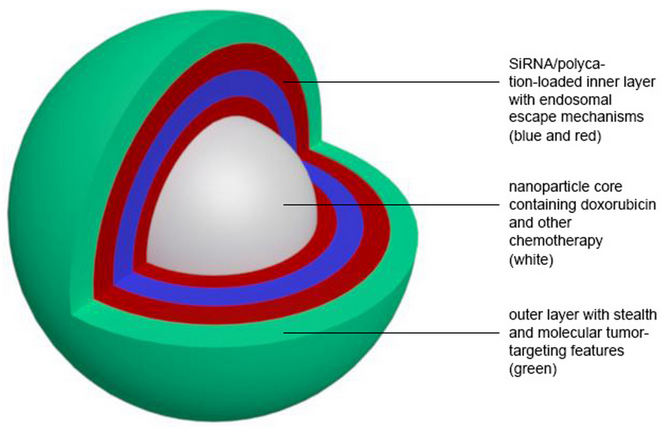 nanoparticle with anticancer drug