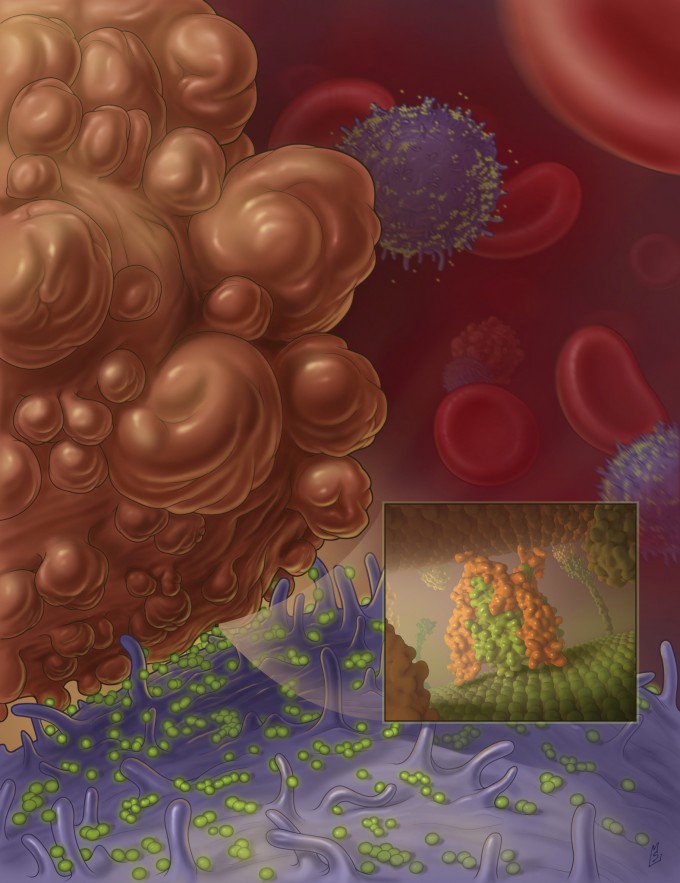 nanoscale_liposomes_trail