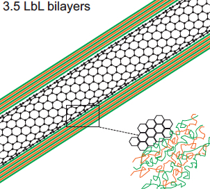 nanotube coated with polyelectrolyte