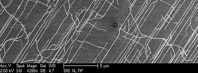 nanotube_circuits_stanford nanotube_circuits_stanford