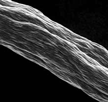 nanotubes_x220