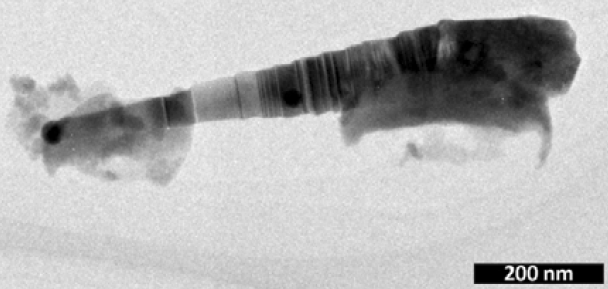 nanowire