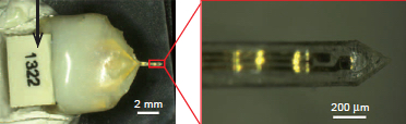 neural electrode device