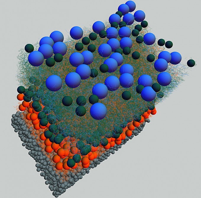 neural_connections_eye