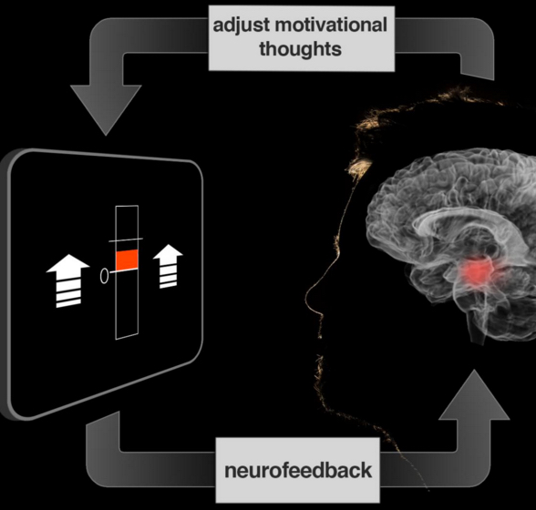 neurofeedback ft