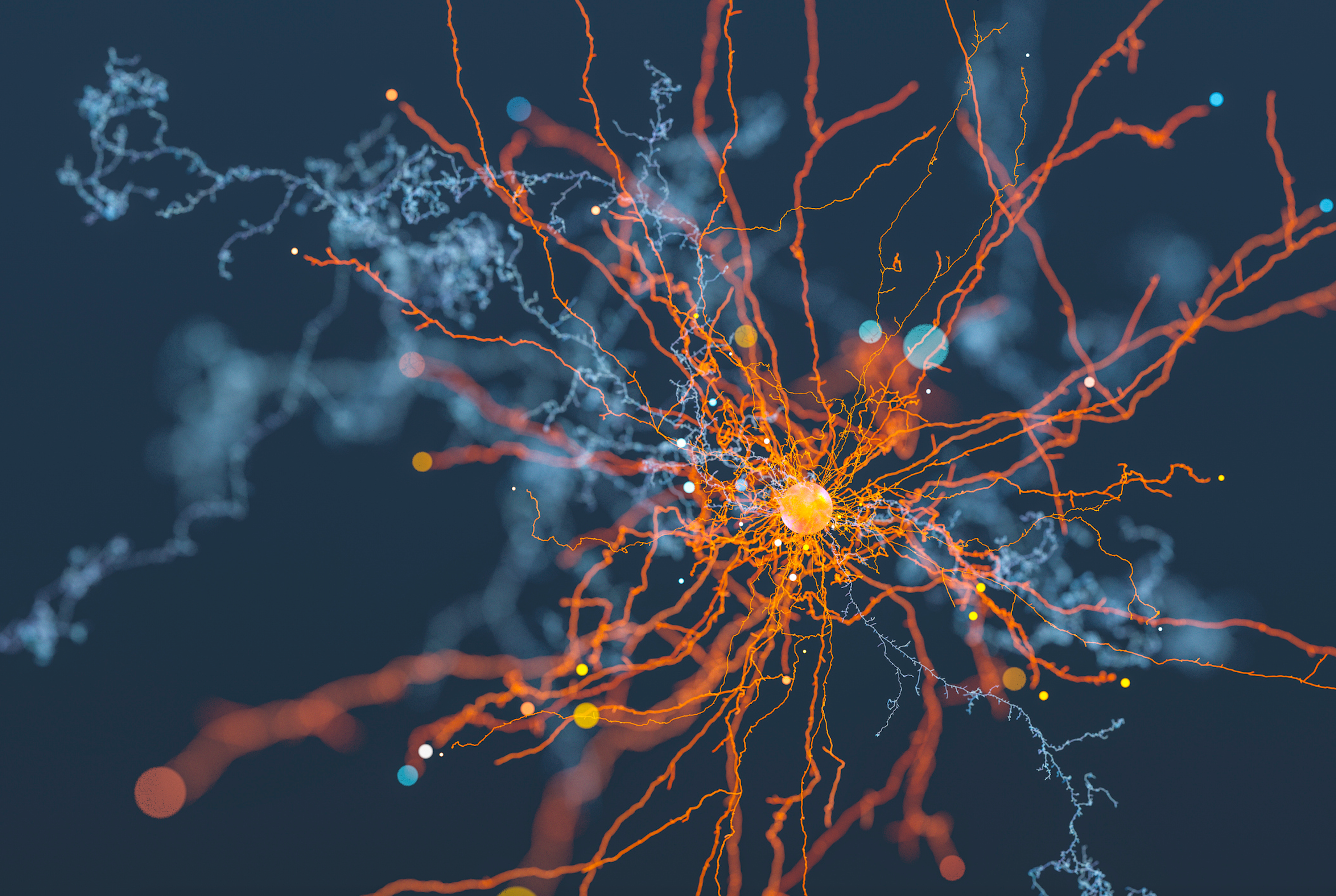 neuron