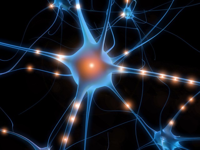 neuron-640x480 neuron-640x480