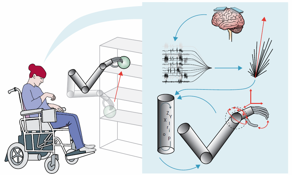 neuroprosthetic control process
