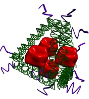 nicotine_nano_vaccine
