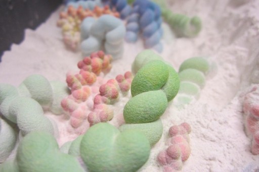 olson_scripps_3dprints