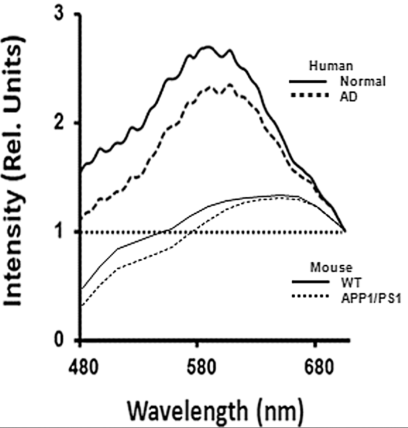 optical spectra for retina