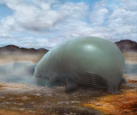 organosilicon-based life