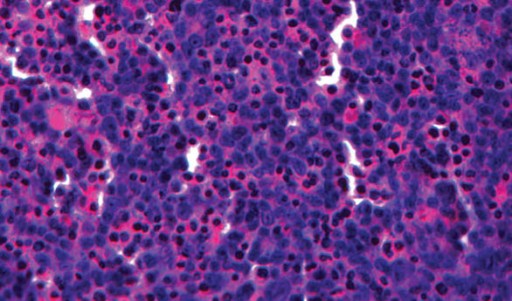 organovo_liver_tissue_model