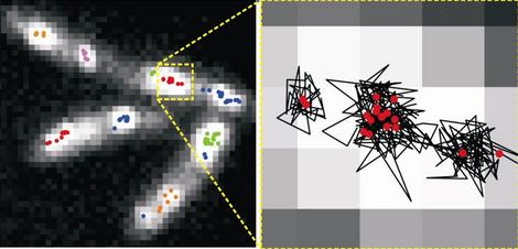 oxford_molecular_machines
