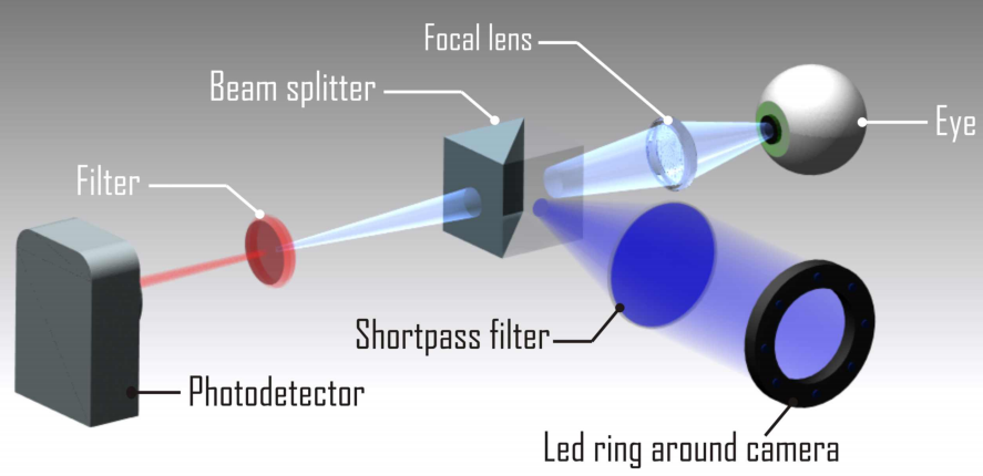 oxygen detection