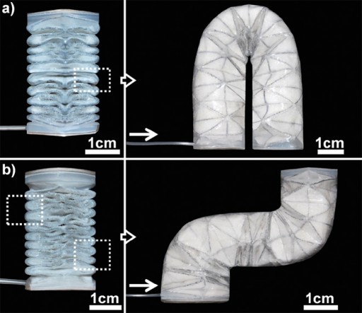 paper-robots-snake-advanced-functional-materials