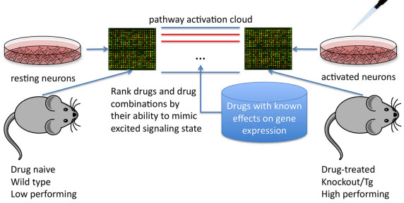 pathway activation profile