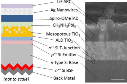 perovskite-si solar cell structure