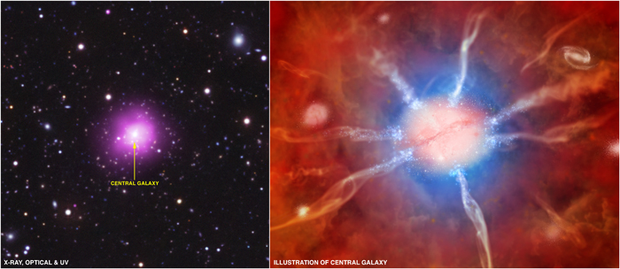The Phoenix Cluster is an extraordinary galaxy cluster that is breaking several important astronomical records.