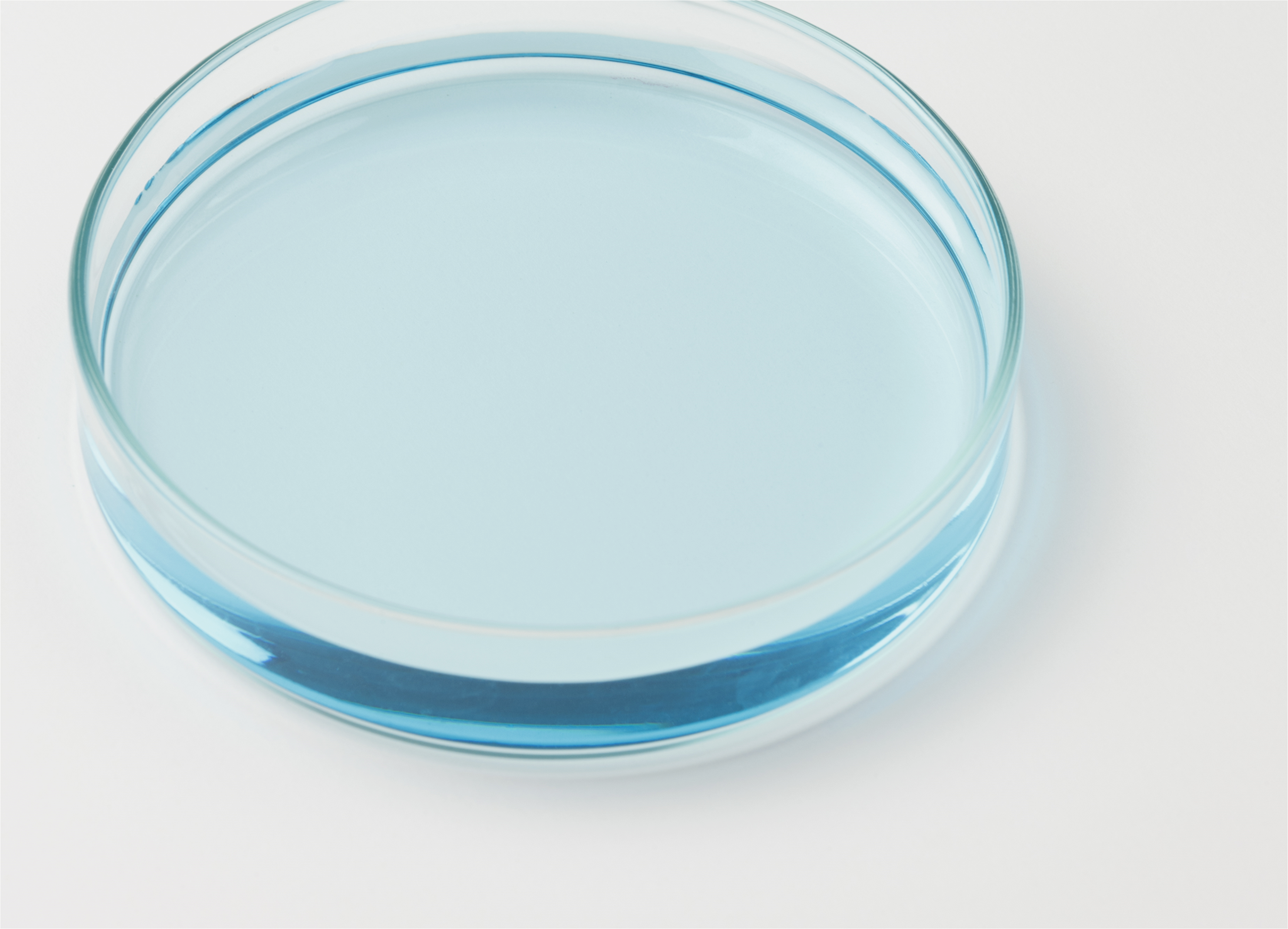 чашка петри d 35. петри вода. чашка петри с раствором. чашка петри. чашка петри петри.