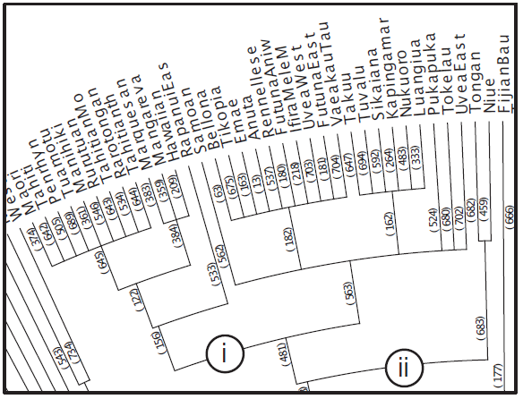 phylogenetic tree -- zoom in