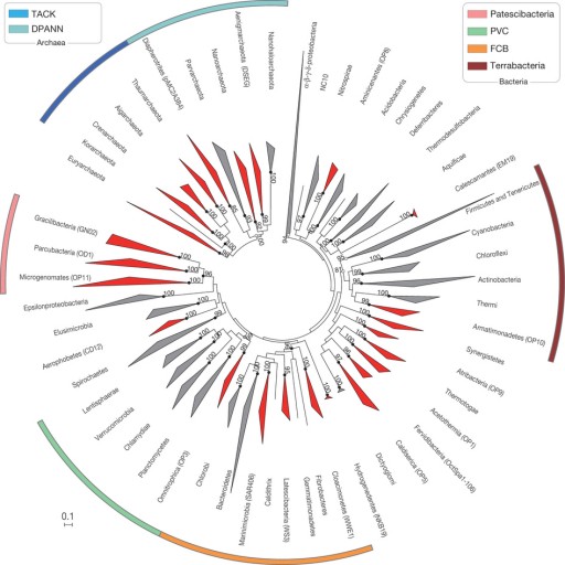 phylogenetic_inference
